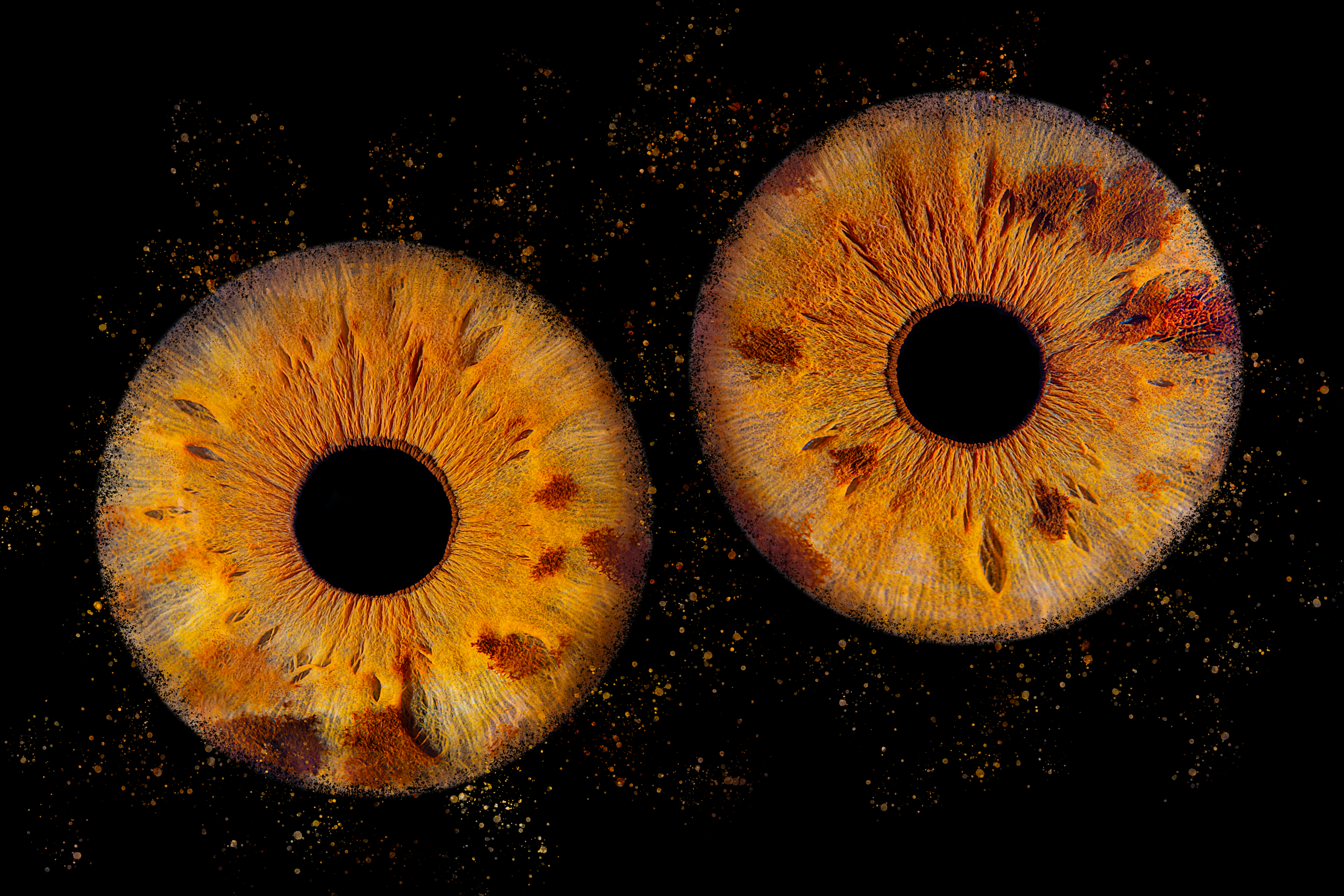 PEYS PNG
